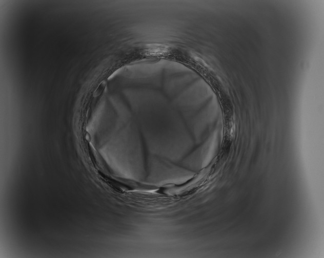 X0000087521441200705251630