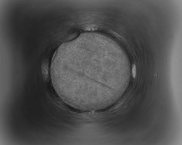 X0000087521444200705251630