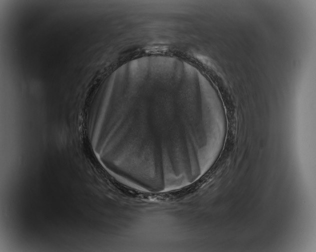 X0000087521445200705251630