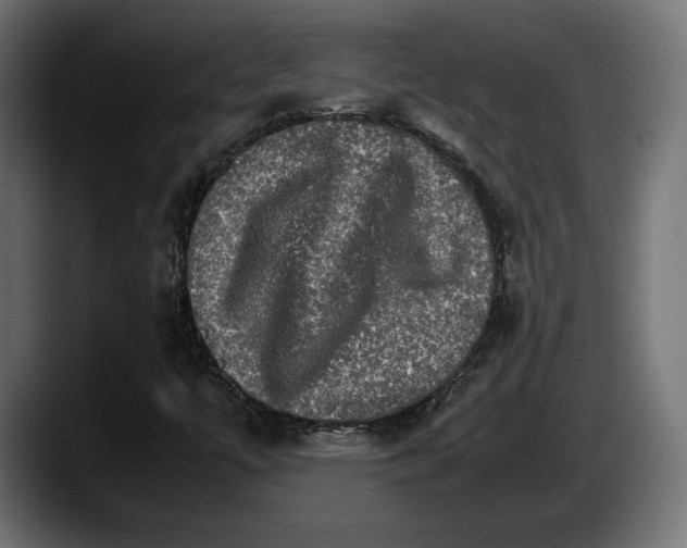 X0000087521447200705251630