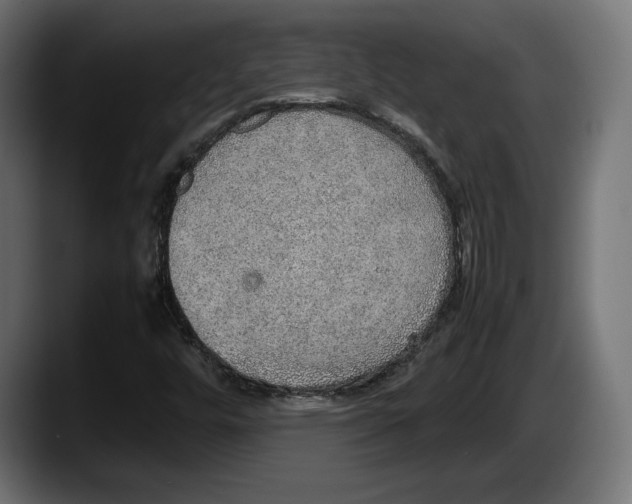 X0000087521448200705251630