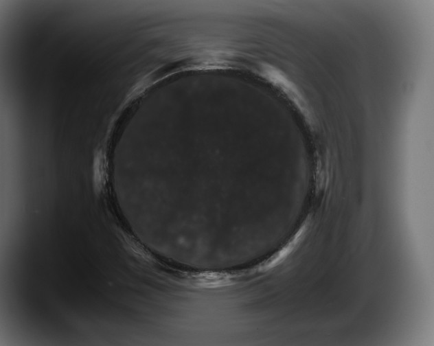 X0000087521449200705251630