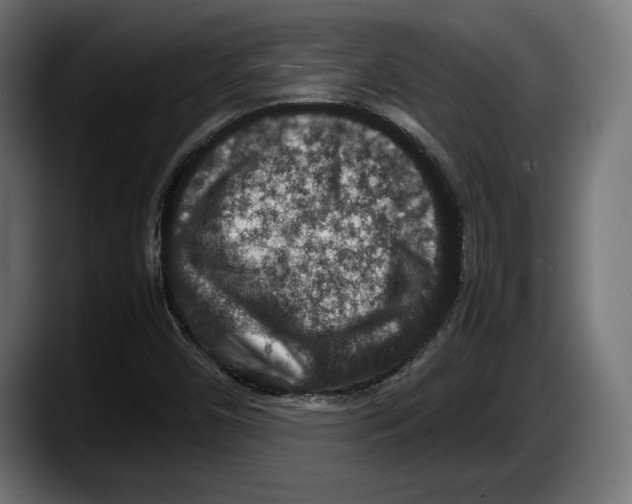 X0000087521450200705251630