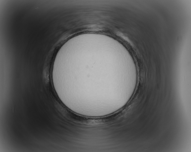 X0000087521451200705251630