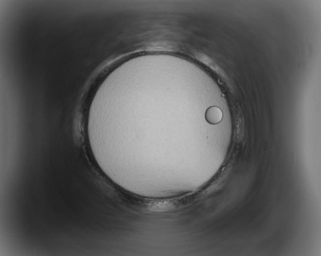 X0000087521454200705251630