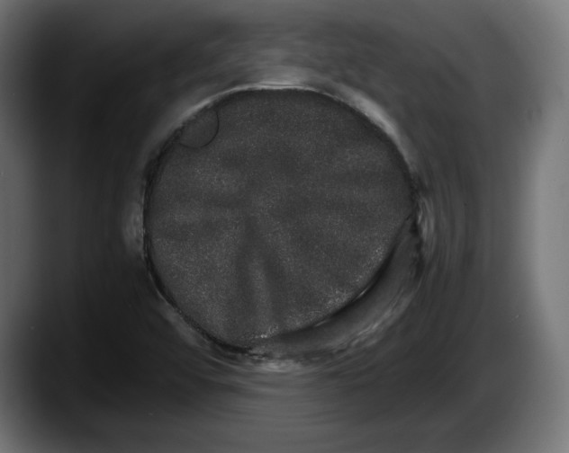 X0000087521456200705251630