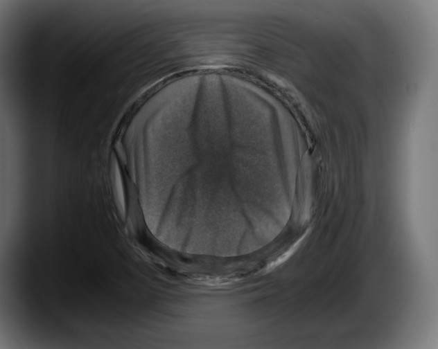 X0000087521457200705251629