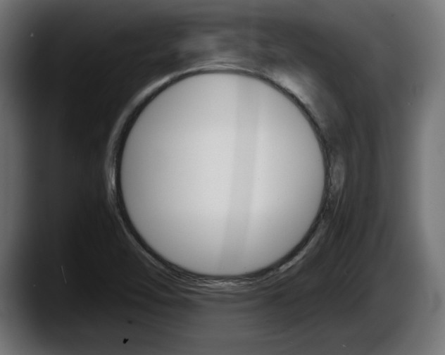 X0000087521462200705251629