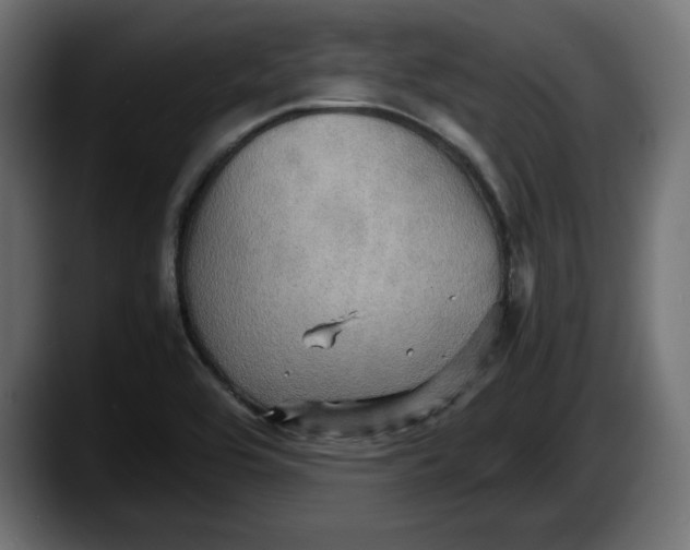 X0000087521464200705251629