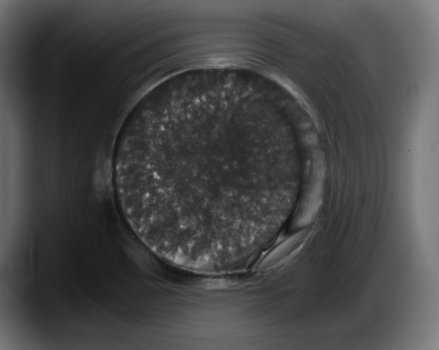 X0000087521465200705251629