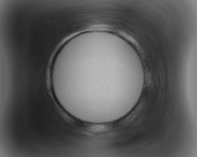 X0000087521470200705251629