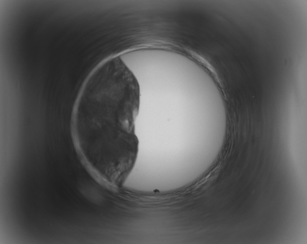 X0000087521471200705251629