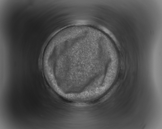 X0000087521473200705251629