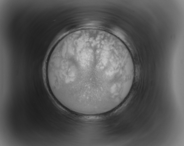 X0000087521474200705251629