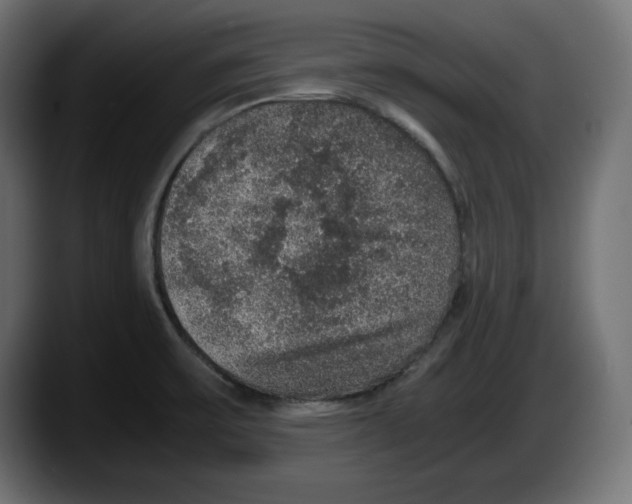 X0000087521475200705251629