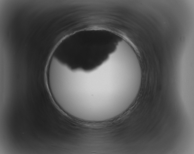 X0000087521476200705251629