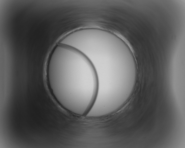 X0000087521477200705251629