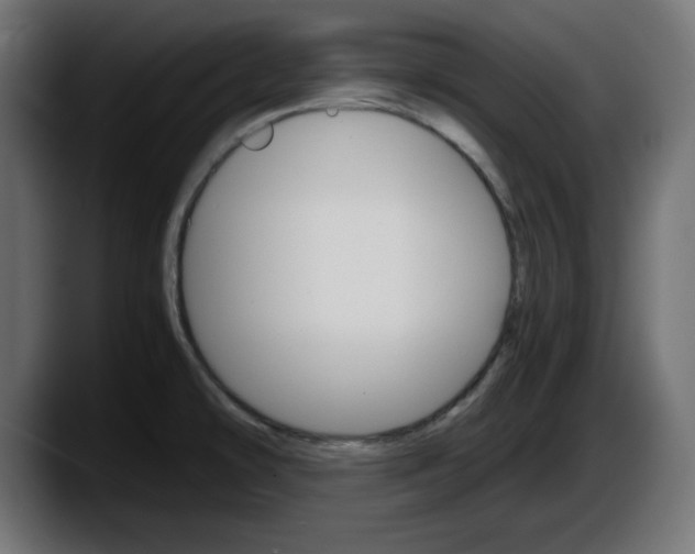 X0000087521478200705251629