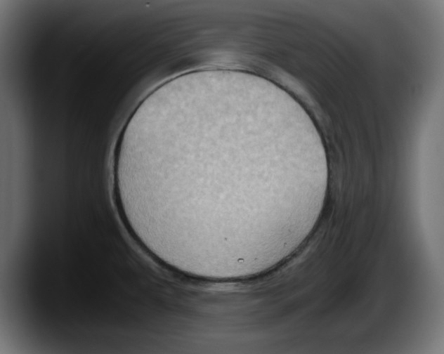 X0000087521479200705251629