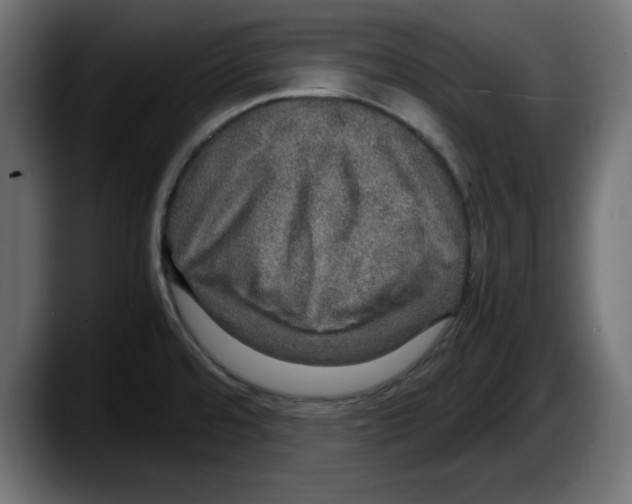 X0000087521480200705251629