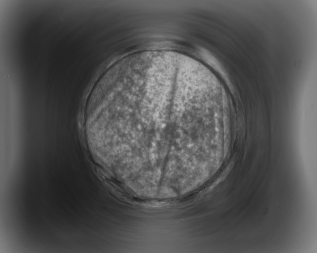 X0000087521481200705251629