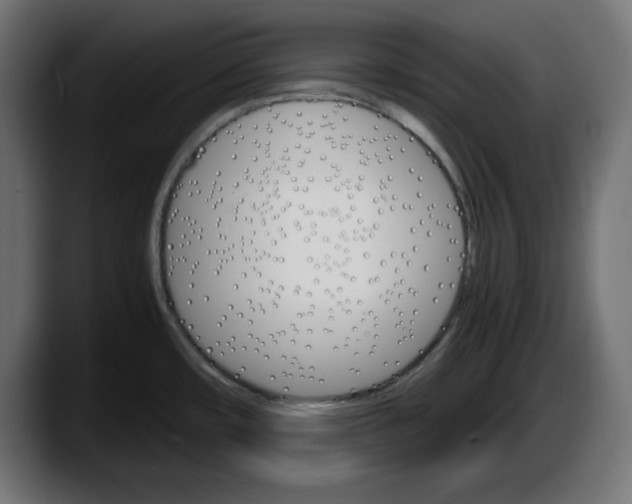 X0000087521482200705251629