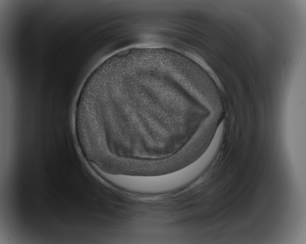 X0000087521484200705251629