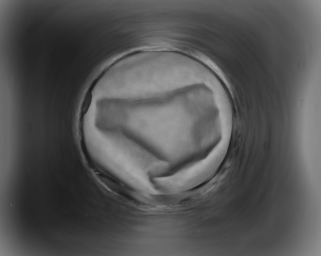 X0000087521485200705251629