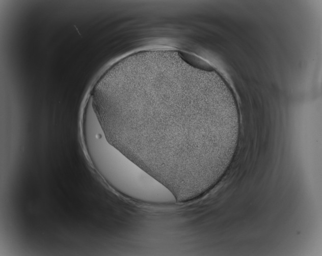 X0000087521488200705251629