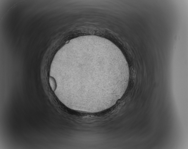 X0000087521489200705251628