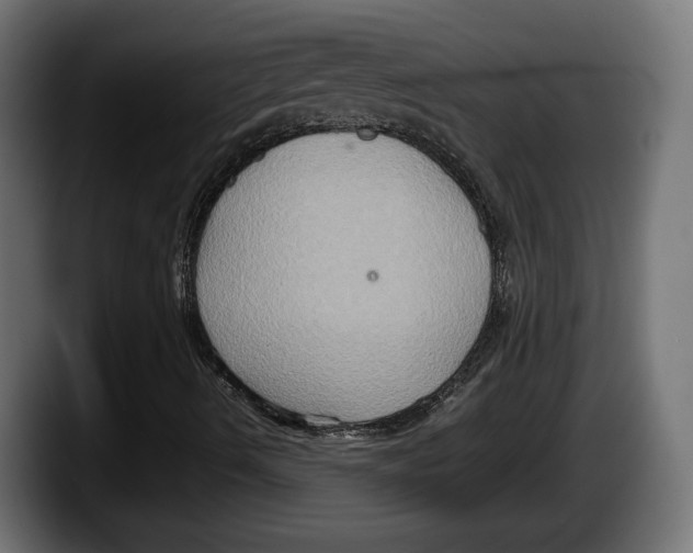 X0000087521490200705251628