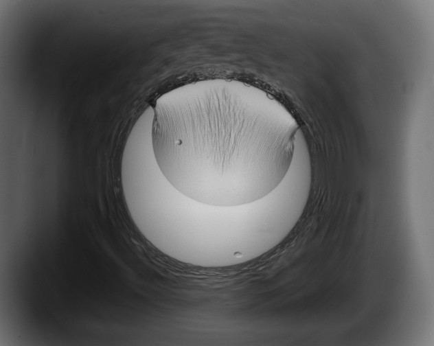 X0000087521492200705251629