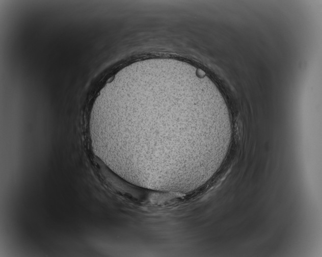 X0000087521494200705251629