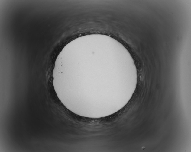 X0000087521495200705251629