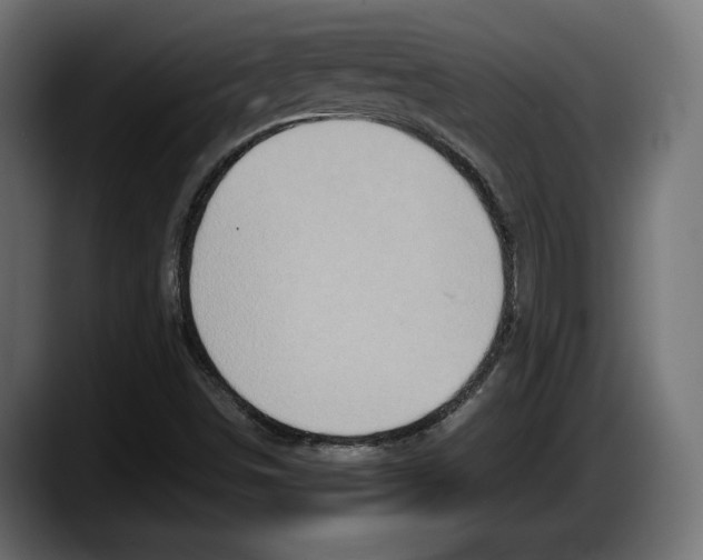 X0000087521498200705251629