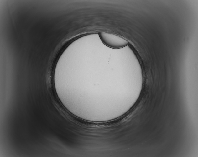 X0000087521499200705251629