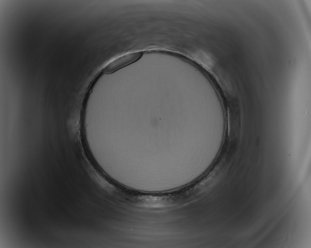 X0000087521500200705251629