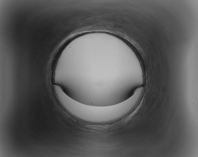 X0000087521502200705251629