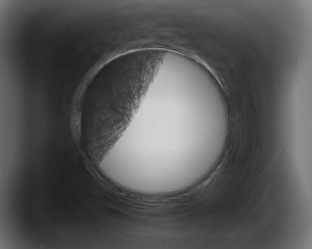 X0000087521503200705251629