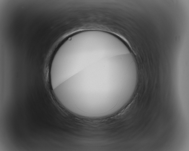 X0000087521507200705251629