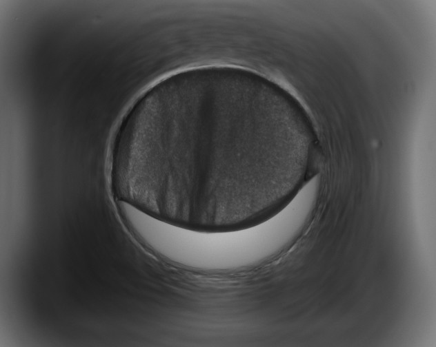 X0000087521508200705251629