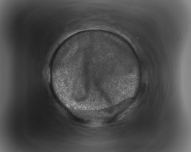 X0000087521509200705251629