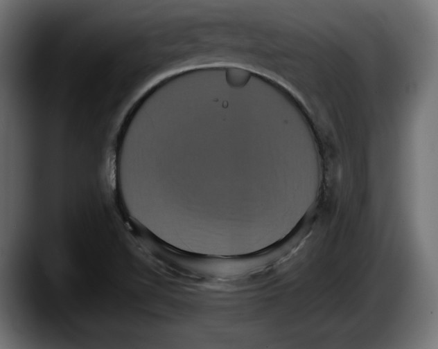 X0000087521510200705251629