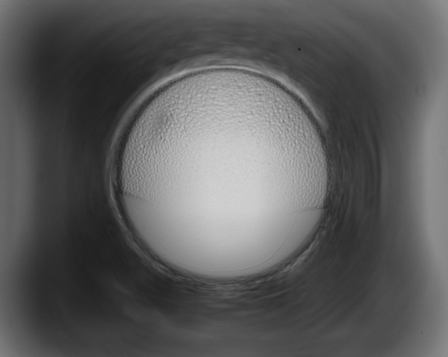 X0000087521511200705251629