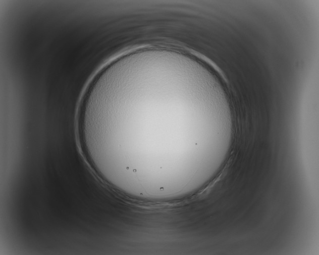 X0000087521514200705251629