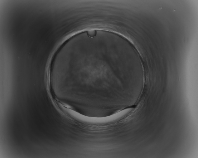 X0000087521515200705251629