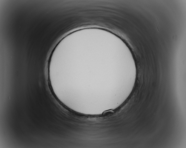 X0000087521516200705251629