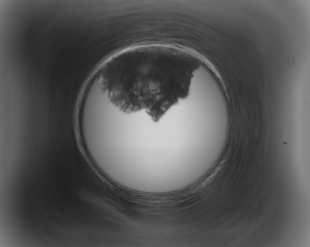 X0000087521517200705251629