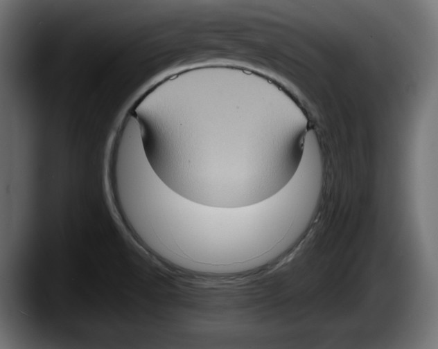 X0000087521518200705251629