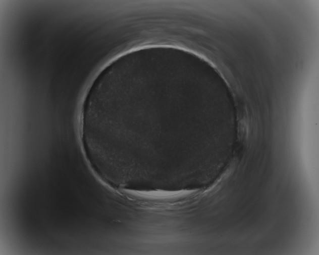 X0000087521519200705251629